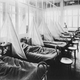 Illustration for article titled Spanish Flu might have been a Chinese Import
